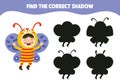 Find The Correct Shadow Activity