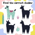 Find the correct shadow activity page with funny llama