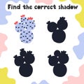 Find the correct shadow activity page for kids