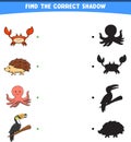 vector illustration finding the correct shadow wild animals crab hedgehog octopus toucan