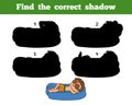 Find the correct shadow, boy on lying inflatable mattress Royalty Free Stock Photo