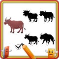 Find the correct shadow buffalo animal. Education Game for Children