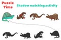 Find the correct shadow. Colorful vector illustration of dinosaurs.