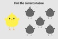 Find the correct shadow, easter game for children, chick in cartoon style, education game for kids, preschool worksheet activity,