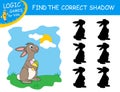 Find the correct shadow the Easter Rabbit with Eggs. Cute cartoon rabbit on colorful background. Educational matching game.