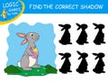 Find the correct shadow. Easter Rabbit Eggs isolated on colorful background. Cute cartoon rabbit. Educational matching game.