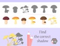 Find the correct shadow, education game for children. Cute Cartoon animals and Nature. vector illustration. mushroom