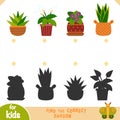 Find the correct shadow, education game, set of houseplants