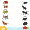 Find the correct shadow, education game, set of insects