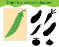 Find the correct shadow, educational game for kids. Green pea