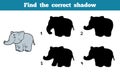 Find the correct shadow (elephant) Royalty Free Stock Photo