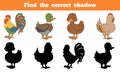 Find the correct shadow: farm animals (chicken and ducks)