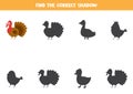Find the correct shadow of farm turkey. Logical puzzle for kids.