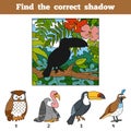 Find the correct shadow. Find bird by shadow