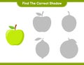 Find the correct shadow. Find and match the correct shadow of Apple. Educational children game, printable worksheet, vector Royalty Free Stock Photo