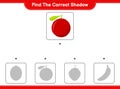 Find the correct shadow. Find and match the correct shadow of Yumberry. Educational children game