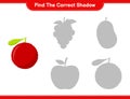 Find the correct shadow. Find and match the correct shadow of Yumberry. Educational children game, printable worksheet, vector