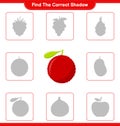 Find the correct shadow. Find and match the correct shadow of Yumberry. Educational children game, printable worksheet, vector