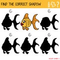 Find the correct shadow