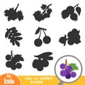 Find the correct shadow, game for children, Grapes