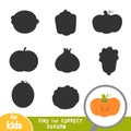 Find the correct shadow, game for children, Pumpkin Royalty Free Stock Photo