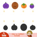 Find the correct shadow, game for children. Set of fruits Royalty Free Stock Photo