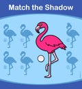 Find the correct shadow, game for kids - flamingo Royalty Free Stock Photo