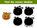 Find correct shadow: Halloween pumpkin Royalty Free Stock Photo