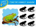 Find the correct shadow Iguana. Cute cartoon Lizard on colorful background. Educational matching game for children with fun animal Royalty Free Stock Photo