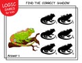 Find the correct shadow Iguana. Cute cartoon lizard. Educational matching game with cartoon character. Logic Games for Kids Royalty Free Stock Photo