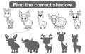 Find correct shadow. Kids educational game. Set of Forest and Zoo Animals to find the correct shadow. Simple gaming