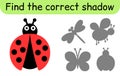Find the correct shadow. Kids game. Educational matching game for children. Insect theme Royalty Free Stock Photo