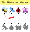 Find the correct shadow. Kids game. Educational matching game for children. Insect theme Royalty Free Stock Photo