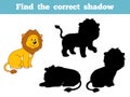 Find the correct shadow (lion)