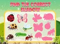 Find the correct shadow, shadow match worksheet for kindergarten student