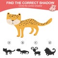 Find the correct shadow of the jaguar. Matching animal shadow game for children. Royalty Free Stock Photo