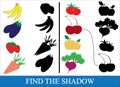 Find the correct shadow of objects of vegetables, berries and fr