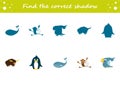 Find the correct shadow penguin, yak, parrot, monkey, whale. Education worksheet. Matching game for kids. Puzzle for children. Royalty Free Stock Photo