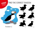 Find the correct shadow Puffin. Cute cartoon sea bird. Educational matching game with cartoon character. Royalty Free Stock Photo