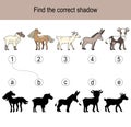Find the correct shadow puzzle with different farm animals. Illustration can be used as logic game for children