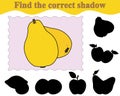 Find the correct shadow of quinces. Education. Game for children