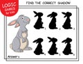 Find the correct shadow Rabbit. Task with answer. Cute cartoon Bunny. Learning matching game for child with fun animal. Royalty Free Stock Photo