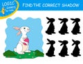 Find the correct shadow the Rabbit. White Easter Bunny holding Egg on colorful background. Cute cartoon Hare. Educational game