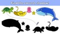 Find the correct shadow sea animals-5 Royalty Free Stock Photo