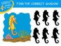 Find the correct shadow the Seahorse. Cute cartoon tropical fish on colorful background. Educational matching game Royalty Free Stock Photo