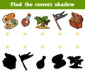 Find the correct shadow. Set of pirate items