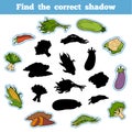 Find the correct shadow. Thai Vegetables Royalty Free Stock Photo