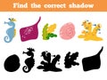 Find the correct shadow. Vector color set of sea life