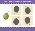 Find the correct shadows of cartoon coconuts. Searching and Matching game. Educational game for pre shool years kids and toddlers