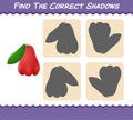 Find the correct shadows of cartoon rose apples. Searching and Matching game. Educational game for pre shool years kids and